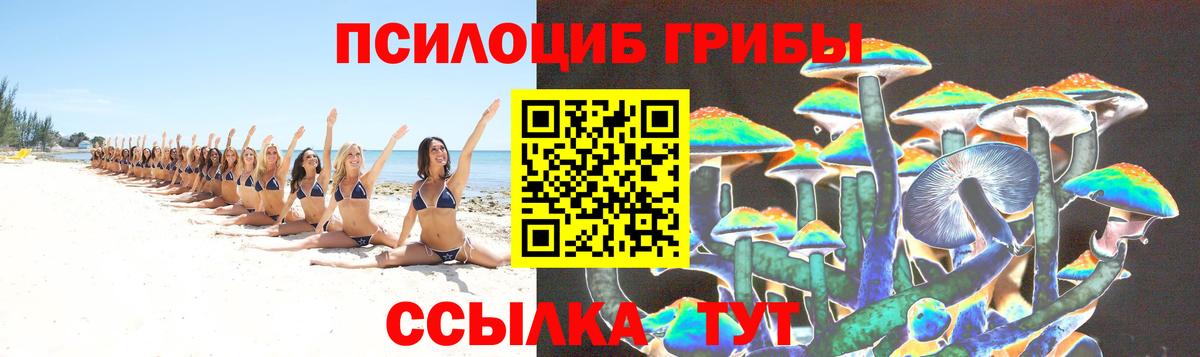 Ишимбай  Псилоцибиновые грибы мицелий  Вход с VPN 